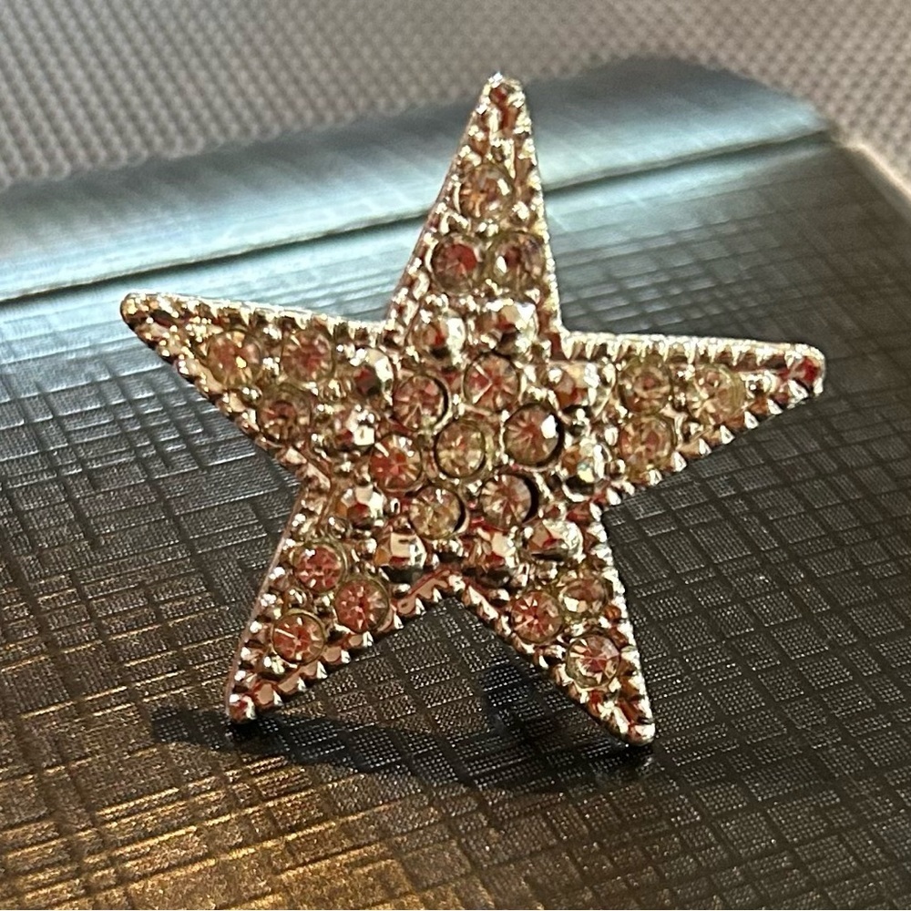 Source Unknown Silver Star Brooch